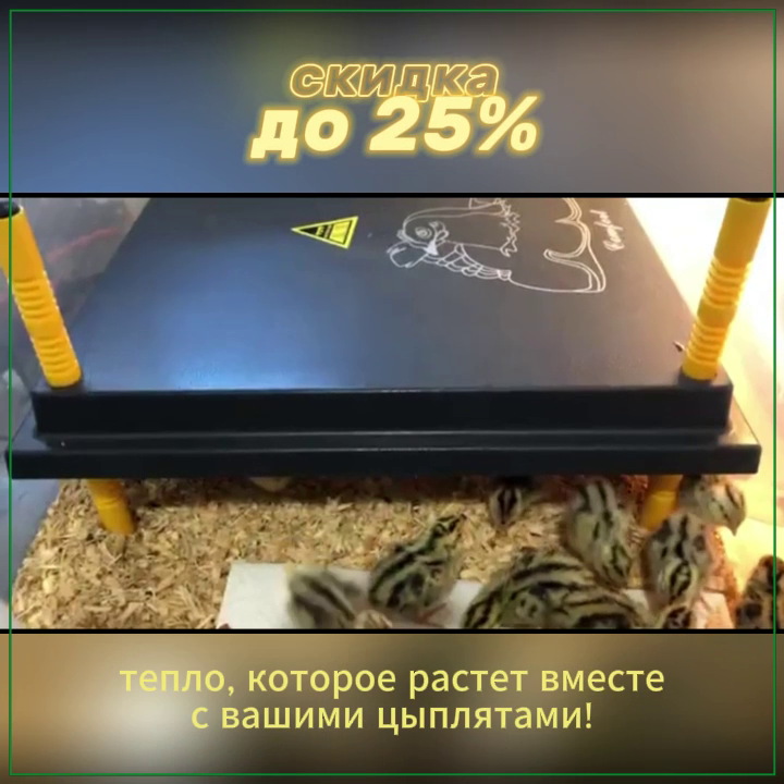 Современные решения для обеспечения тепла и комфорта ваших птенцов