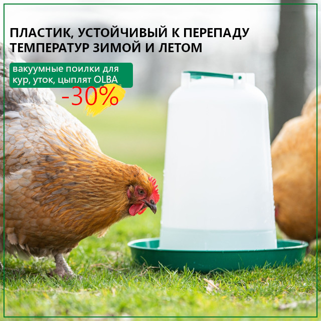 Вакуумная поилка - это один из самых популярных способов поения птицы Вакуумная поилка - это один из самых популярных способов поения птицы