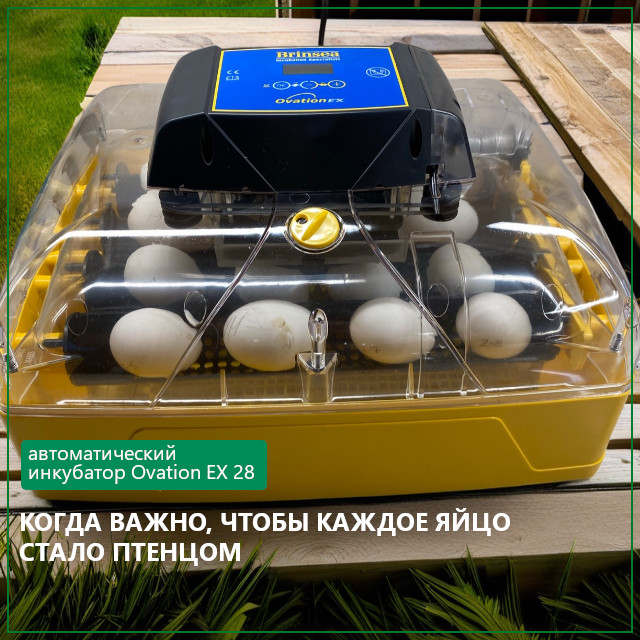 Почему профессионалы выбирают Brinsea Ovation EX 28  Почему профессионалы выбирают Brinsea Ovation EX 28