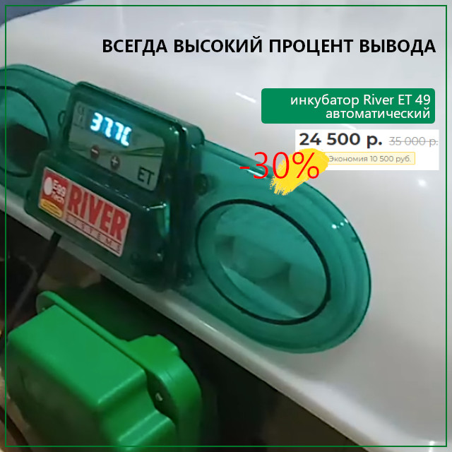 Инкубатор River ET-49 для яиц кур, уток, гусей и перепелов
