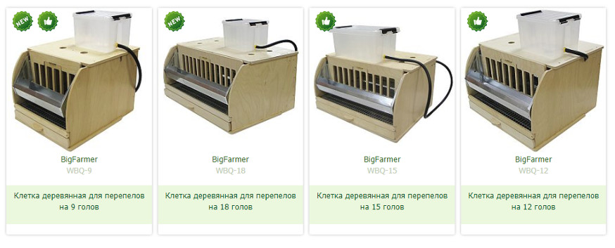 клетки из дерева для перепелов