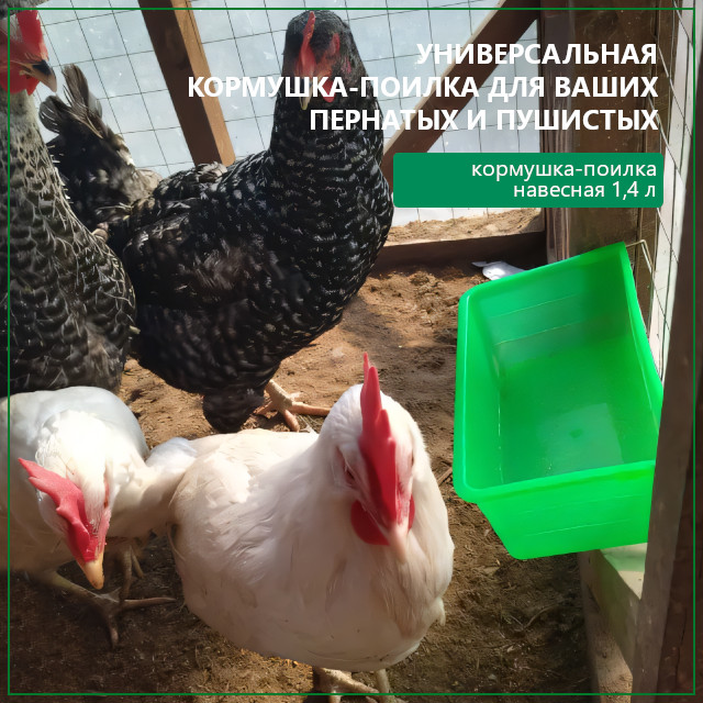 Универсальная кормушка-поилка для ваших животных Универсальная кормушка-поилка для ваших животных