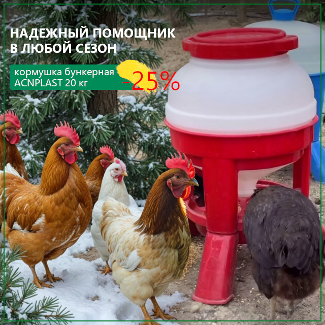 Бункерная кормушка 20 кг - надежный помощник в любой сезон Бункерная кормушка 20 кг - надежный помощник в любой сезон