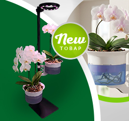 Умные подставки HobbyFarm: когда растения растут сами