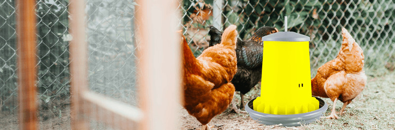 Новые итальянские бункерные кормушки Arcus