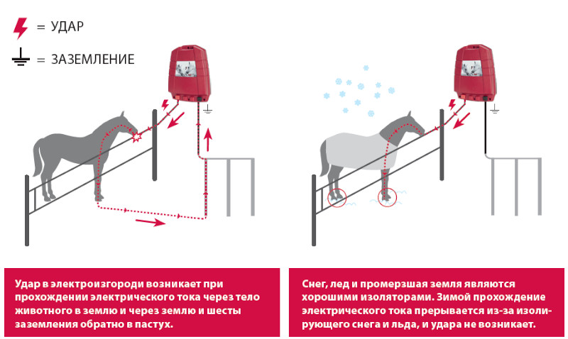 Схема электропастуха зверь 4