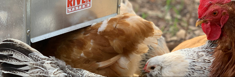 Новые педальные кормушки ALMA и ALMA BASICA