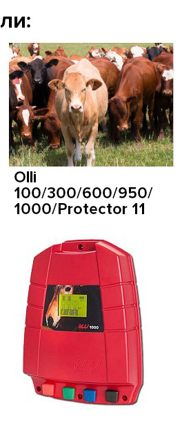 Электропастухи для КРС