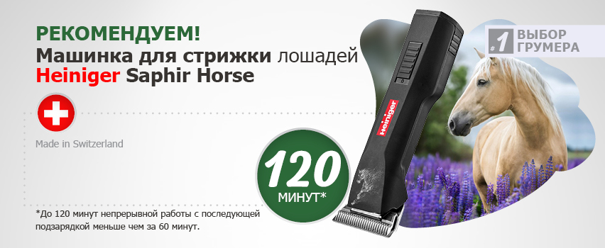 Heiniger Saphir Horse