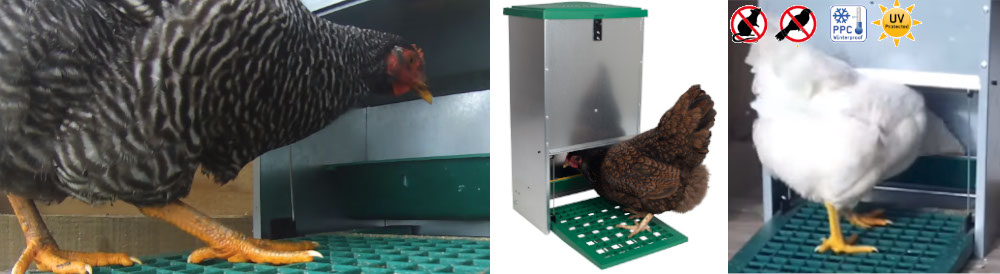 Педальные автоматические кормушки Feedomatic news-olba-leto-2.jpg