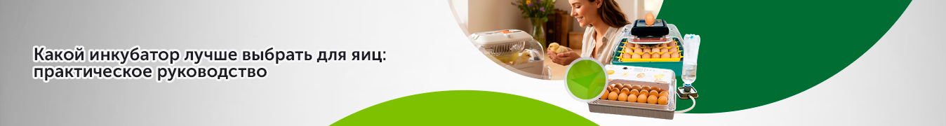 Какой инкубатор лучше выбрать для яиц: практическое руководство Какой инкубатор лучше выбрать для яиц: практическое руководство