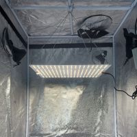 Светодиодная лампа Quantum board 120W HobbyFarm с регулировкой для растений, теплиц, гроубокса, гидропонных систем Светодиодная лампа Quantum board 120W HobbyFarm с регулировкой для растений, теплиц, гроубокса, гидропонных систем
