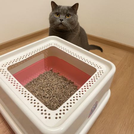 Лоток для кошек с высокими бортами и совком Catidea 44х44х25 см розовый Лоток для кошек с высокими бортами и совком Catidea 44х44х25 см розовый