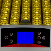 Инкубатор HHD 56 автоматический с овоскопом на 56 яиц