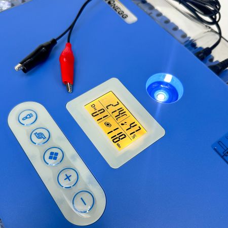 Инкубатор HHD 70H автоматический на 70 яиц, с контролем влажности и овоскопом на 220В/12В от сети и аккумулятора