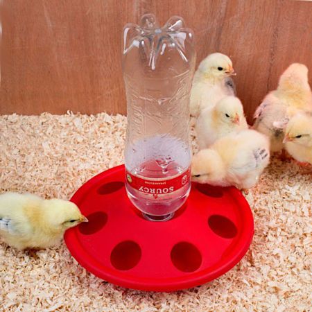 Поилка под бутылку напольная с отверстиями /7 ячеек пластик Поилка под бутылку напольная с отверстиями /7 ячеек пластик