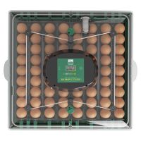 Инкубатор для яиц автоматический Des Champs EU PROFI C-72 на 72 куриных яйца