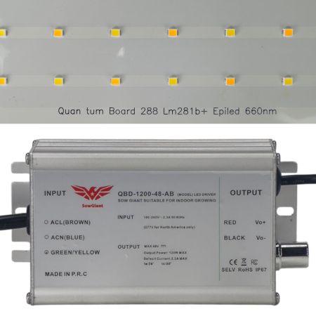 Светодиодная лампа Quantum board 120W HobbyFarm с регулировкой для растений, теплиц, гроубокса, гидропонных систем