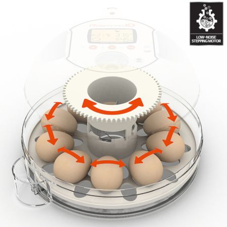 Инкубатор Rcom 10 PRO Plus с овоскопом и помпой, автоматический для яиц