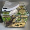 Креветочник Newa More Сaridinae NMO 20 W CRNE Daylight LED 18 л с крышкой, фильтром, нагревателем, освещением рассвет-закат, белый NEW VERSION