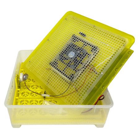 Инкубатор HHD 48 автоматический 220В/12В от сети и аккумулятора на 48 яиц