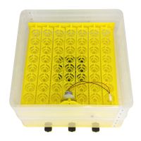 Инкубатор HHD 112 автоматический для яиц на 220В/12В от сети и аккумулятора на 112 яиц