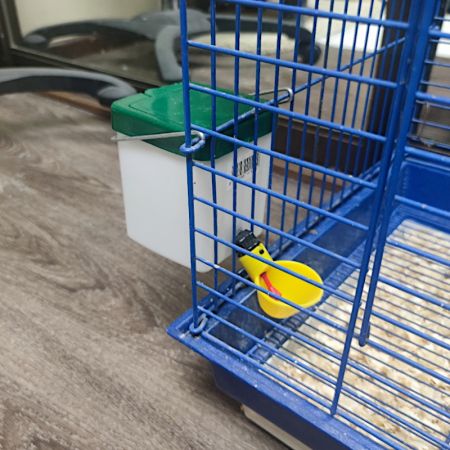 Поилка чашечная с бачком 0,5 л для птиц