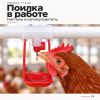 Поилка ниппельная с каплеуловителем на трубу 3/4''