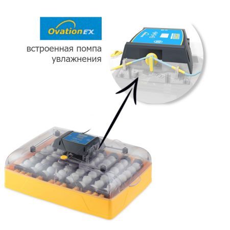 Инкубатор Brinsea Ovation EX 56 автоматический для яиц