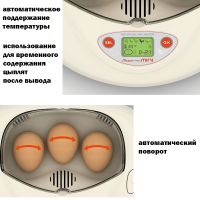 Инкубатор Rcom Mini автоматический для яиц с овоскопом Инкубатор Rcom Mini автоматический для яиц с овоскопом