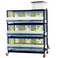 Клетка Comfortplast для перепелов с яйцесборником 3 секции, 3 яруса, 98x61x132 см, пластиковая