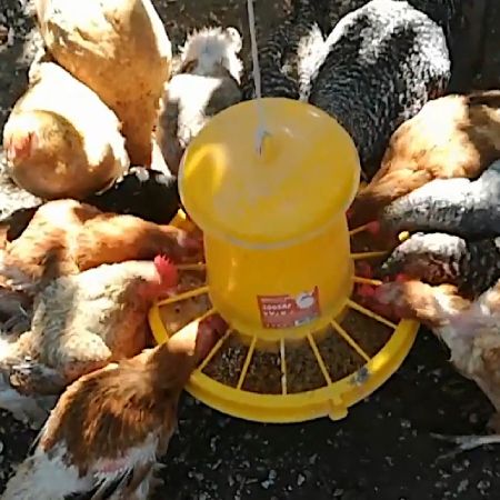 Кормушка бункерная 7 кг пластик с разделительной решеткой