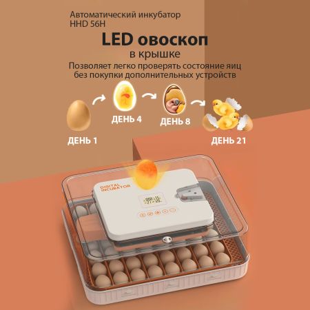 Инкубатор HHD 56H автоматический с контролем влажности и овоскопом на 220В/12В от сети и аккумулятора на 56 яиц