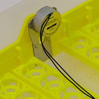 Инкубатор HHD 48AB автоматический на 48 яиц