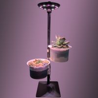 Подставка для цветов 2 уровня HobbyFarm, с автополивом и фитолампой, 90 см