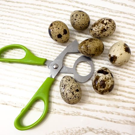 Ножницы для перепелиных яиц