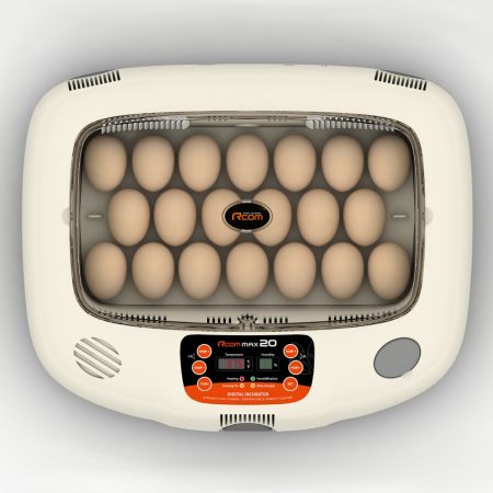 Инкубатор Rcom 20 MAX автоматический для яиц