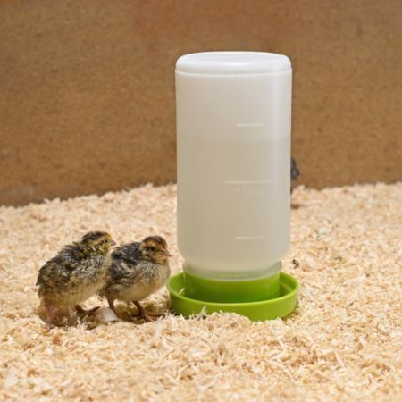 Поилка вакуумная 1 л для цыплят, перепелов и другой мелкой птицы, комплект 5 шт.