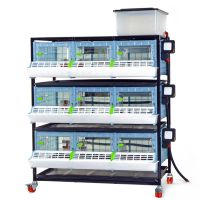 Брудер для цыплят CB25 3 секции, 3 яруса, пластиковый