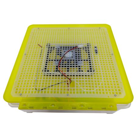 Инкубатор HHD 54 автоматический для яиц с роликовым лотком на 54 яйца