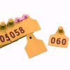 Бирка двойная 75х60 мм с номером, оранжевая, 50 шт. для КРС, овец, коз и других животных