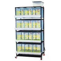 Клетка Comfortplast для бройлеров 3 секции, 4 яруса, пластиковая