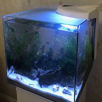 Крышка для аквариума Newa More NMO 30, матовое стекло  