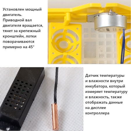 Инкубатор HHD 48 автоматический 220В/12В от сети и аккумулятора на 48 яиц