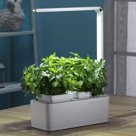 Гидропонная установка HobbyFarm Mini DQ1300, домашний умный смарт сад, с фитолампой Гидропонная установка HobbyFarm Mini DQ1300, домашний умный смарт сад, с фитолампой
