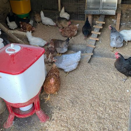 Поилка поплавковая Kubic Gold Premium 30 л