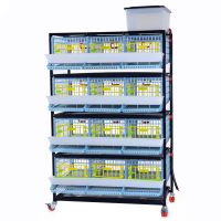 Клетка Comfortplast для перепелов с яйцесборником 3 секции, 4 яруса, 98x61x163 см, пластиковая