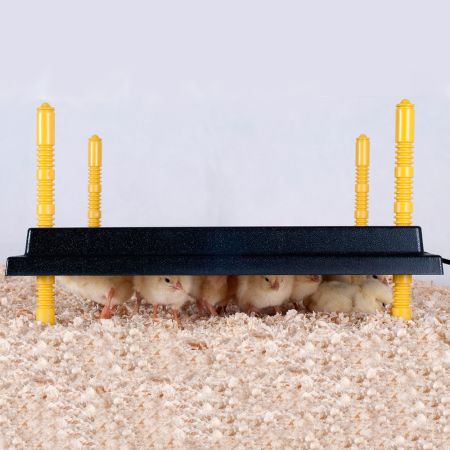 Панель обогревательная Comfort 40х50 см 46 Вт для цыплят