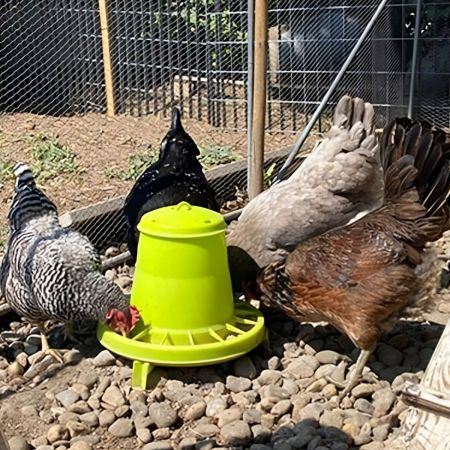 Кормушка бункерная 3,5 кг пластик с разделительной решеткой на ножках