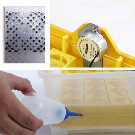 Инкубатор HHD 48 автоматический 220В/12В от сети и аккумулятора на 48 яиц